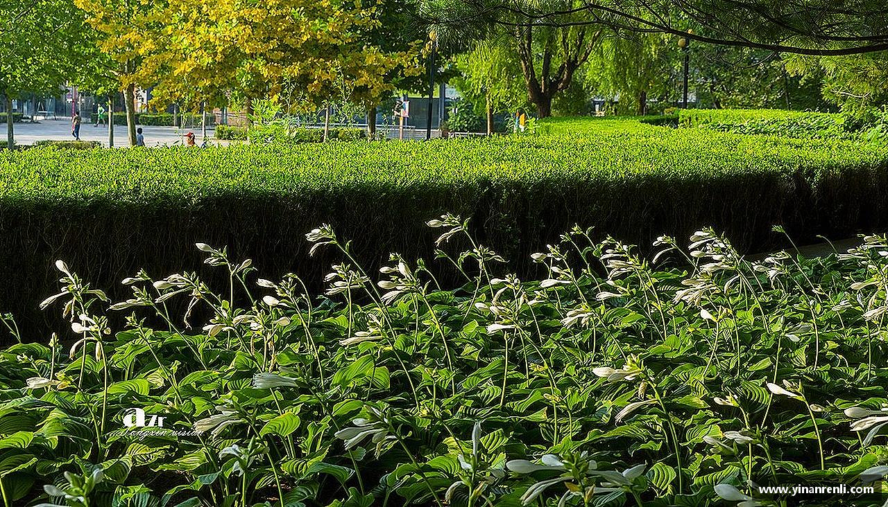 超越极限，拥抱挑战